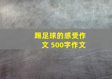 踢足球的感受作文 500字作文